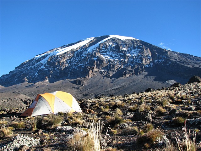 Consina Berangkatkan Pelanggannya ke Gunung Kilimanjaro, Afrika